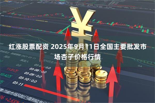 红涨股票配资 2025年9月11日全国主要批发市场杏子价格行情