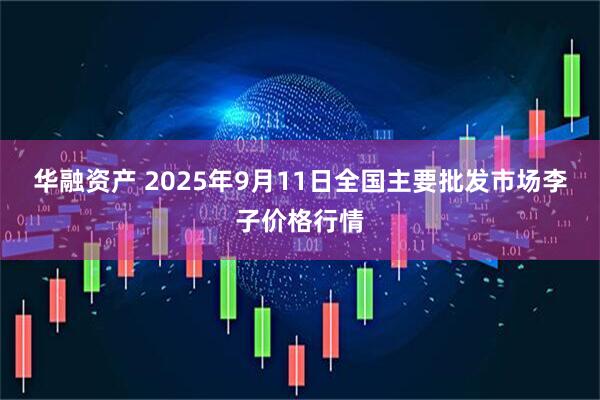 华融资产 2025年9月11日全国主要批发市场李子价格行情