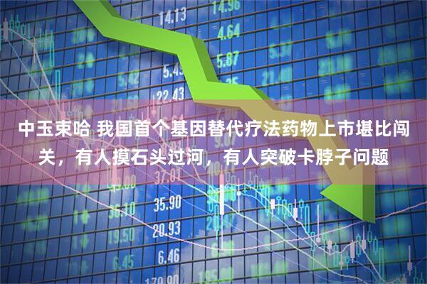 中玉束哈 我国首个基因替代疗法药物上市堪比闯关，有人摸石头过河，有人突破卡脖子问题