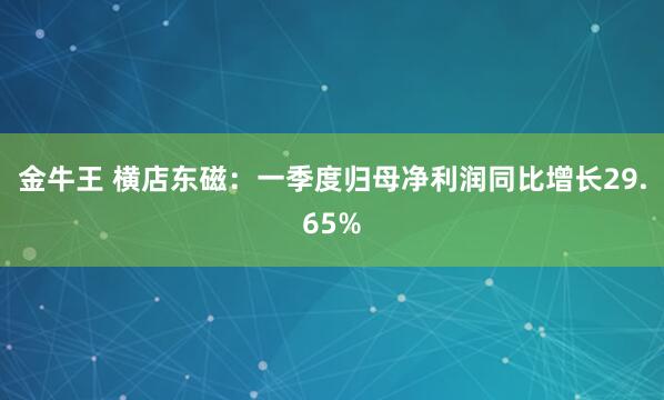 金牛王 横店东磁：一季度归母净利润同比增长29.65%