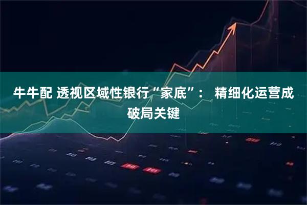 牛牛配 透视区域性银行“家底”： 精细化运营成破局关键